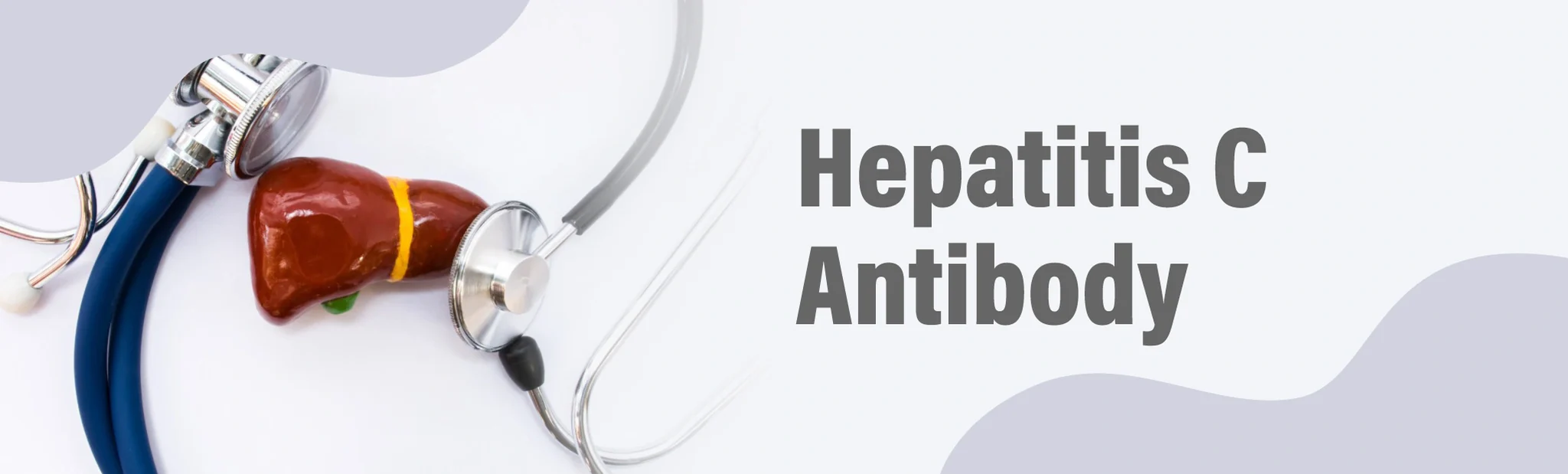 Hepatitis C Antibody