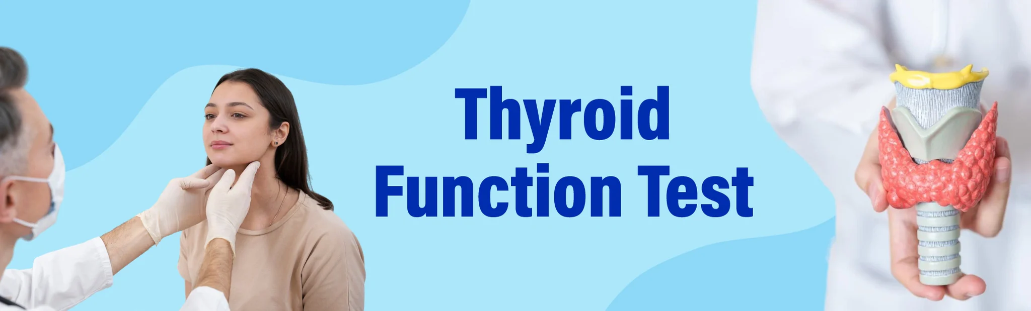 Thyroid Function Test