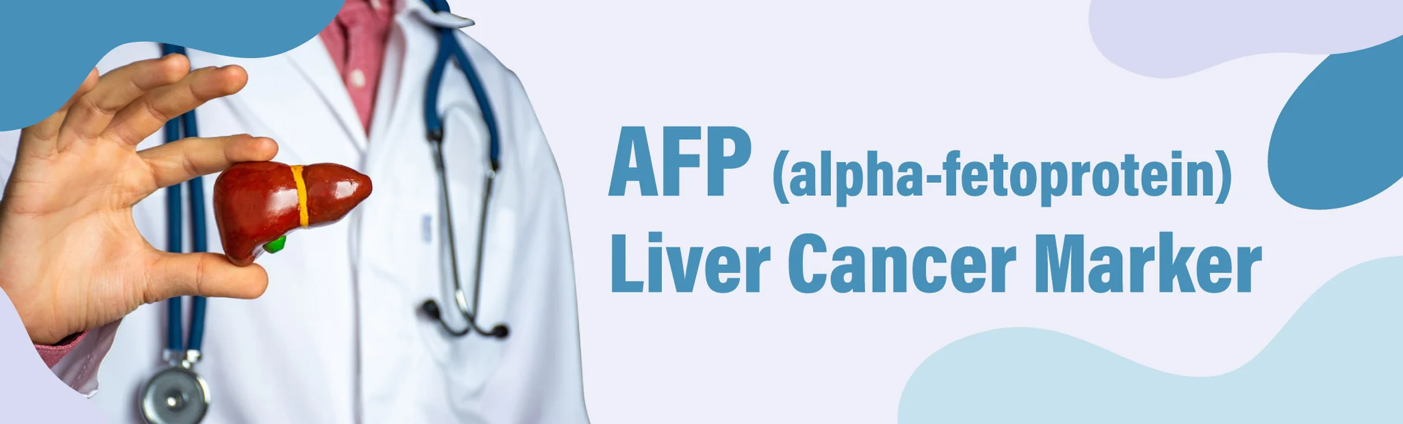 AFP - Liver Cancer Marker