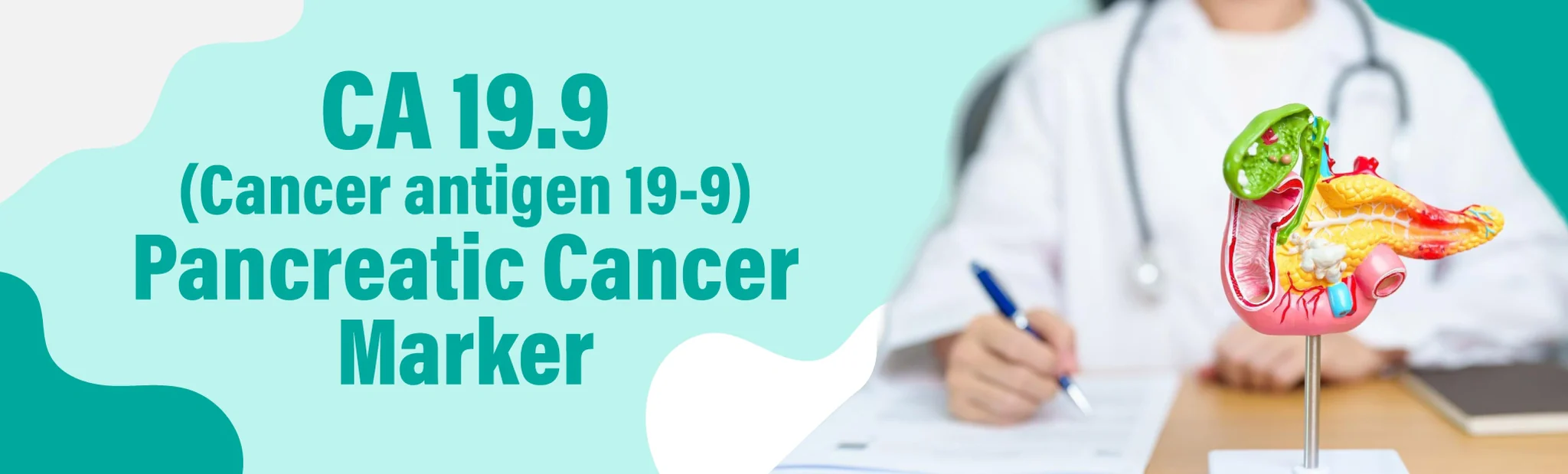 CA 19.9 - Pancreatic Cancer Marker