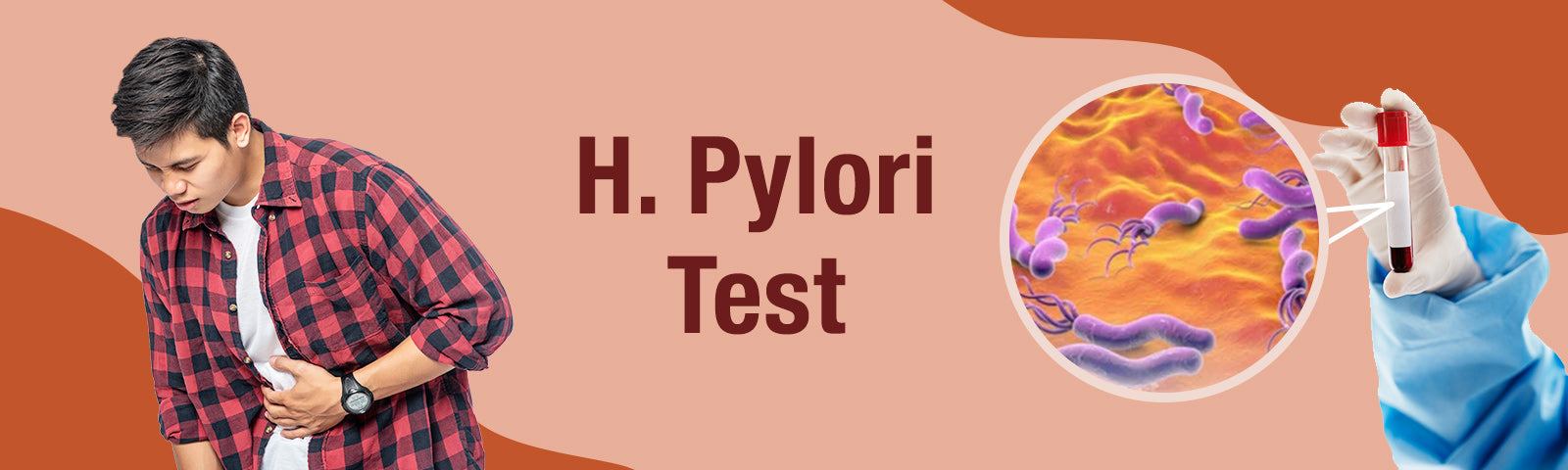 H. pylori Test