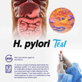 H. Pylori Test