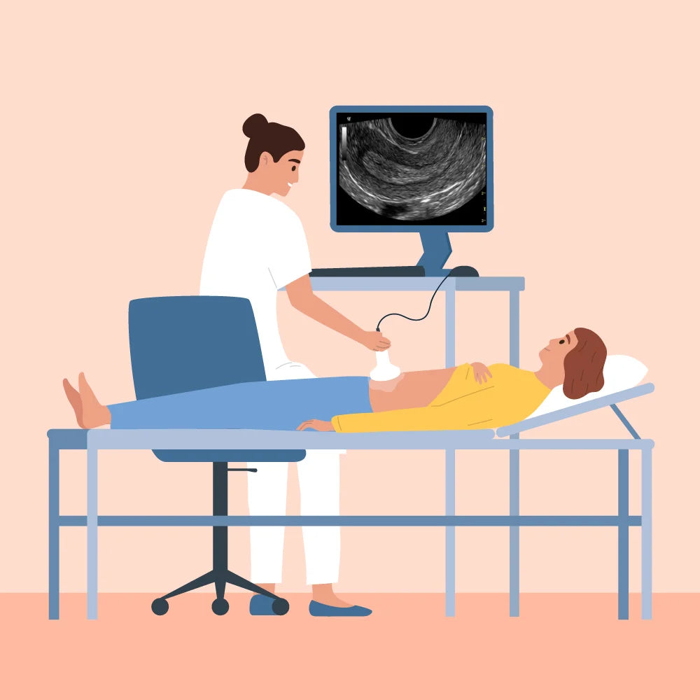 Ultrasound Pelvis