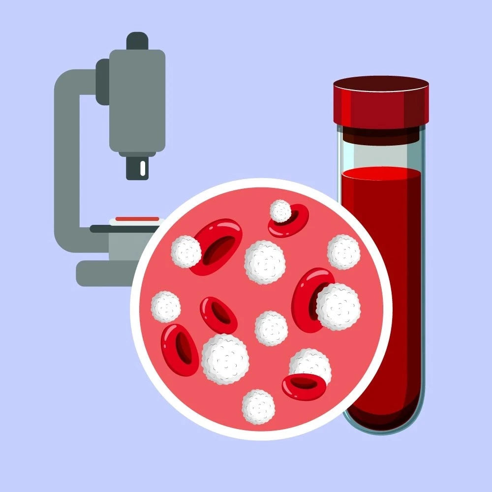 Thalassemia Studies